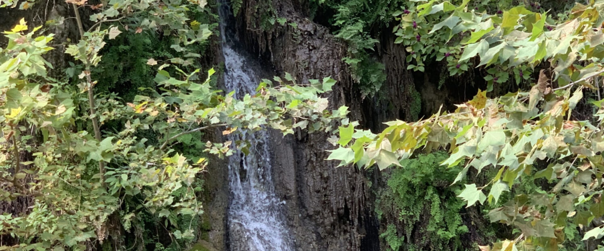 Exploring the Great Outdoors: Popular Events and Festivals in Austin, Arkansas