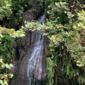 Exploring the Great Outdoors: Popular Events and Festivals in Austin, Arkansas