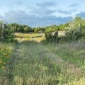 Exploring the Best Outdoor Programs for Birdwatching in Austin, Arkansas