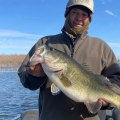 The Ultimate Guide to Fishing in Austin, Arkansas: An Expert's Perspective