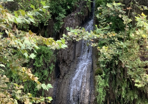 Exploring the Great Outdoors: Popular Events and Festivals in Austin, Arkansas