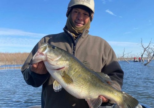 The Ultimate Guide to Fishing in Austin, Arkansas: An Expert's Perspective
