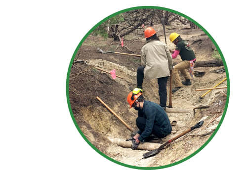 Exploring Outdoor Programs in Austin, Arkansas: A Focus on Conservation and Environmental Education